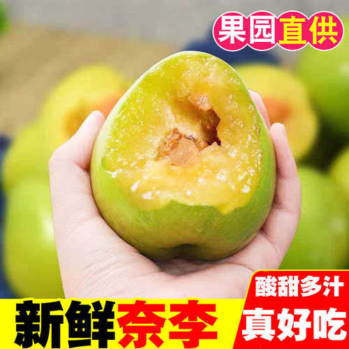 现摘现发福建奈李脆甜清
