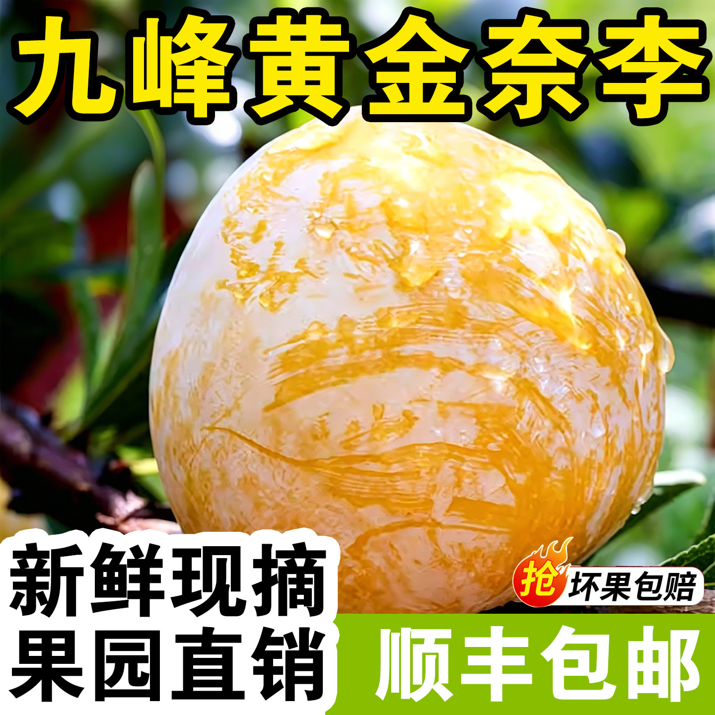 广东韶关乐昌九峰山黄金