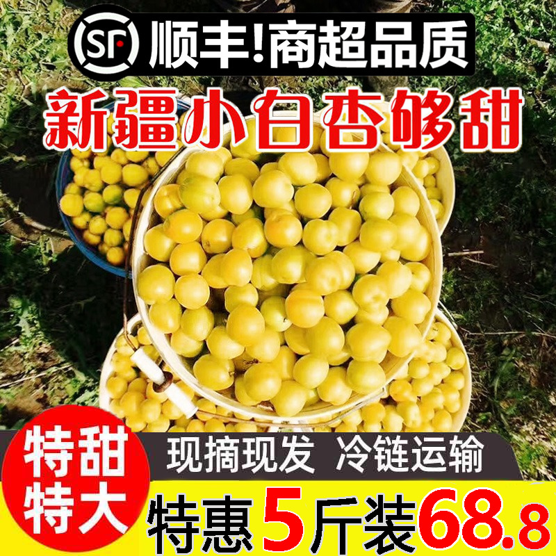 新疆小白杏当季应季新鲜礼盒