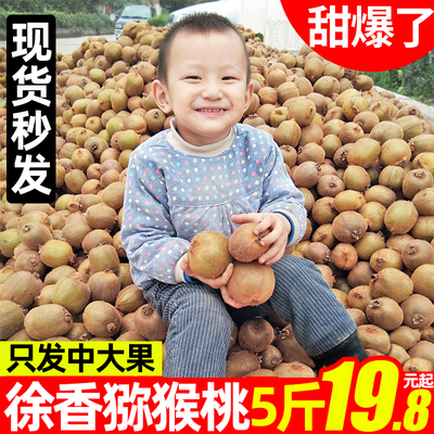 陕西眉县徐香猕猴桃新鲜包邮水果当季整箱狝猴桃应季弥猴桃奇异果