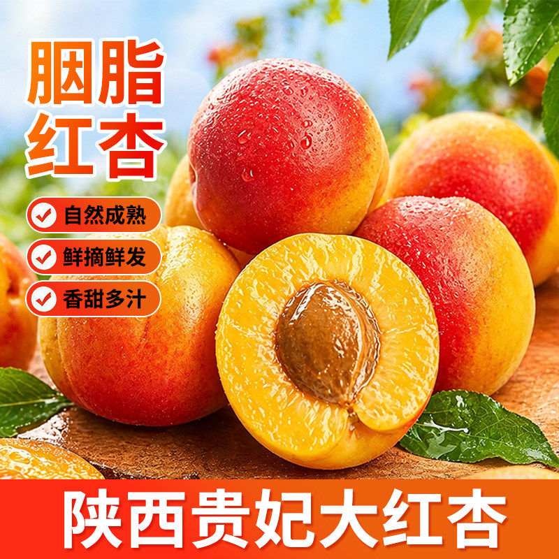 陕西胭脂红杏新鲜杏子当季水果整箱现摘自然熟甜杏贵妃太阳杏包邮