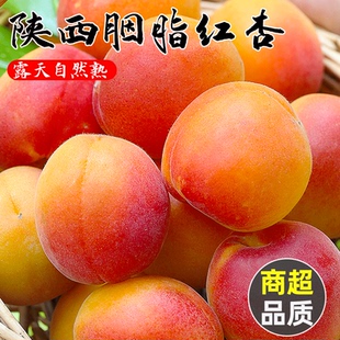 陕西胭脂红杏4斤应当季孕妇酸杏包邮青杏子甜杏新鲜水果整箱3