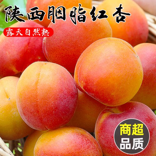 陕西胭脂红杏4斤应当季孕妇酸杏包邮青杏子甜杏新鲜水果整箱3