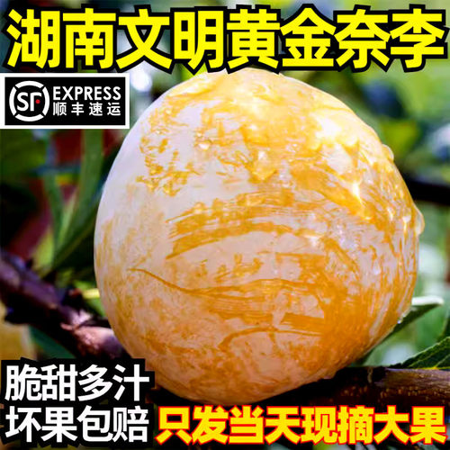 【顺丰包邮】正宗汝城黄