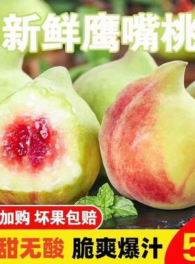 正宗蒙自鹰嘴桃5斤应季时