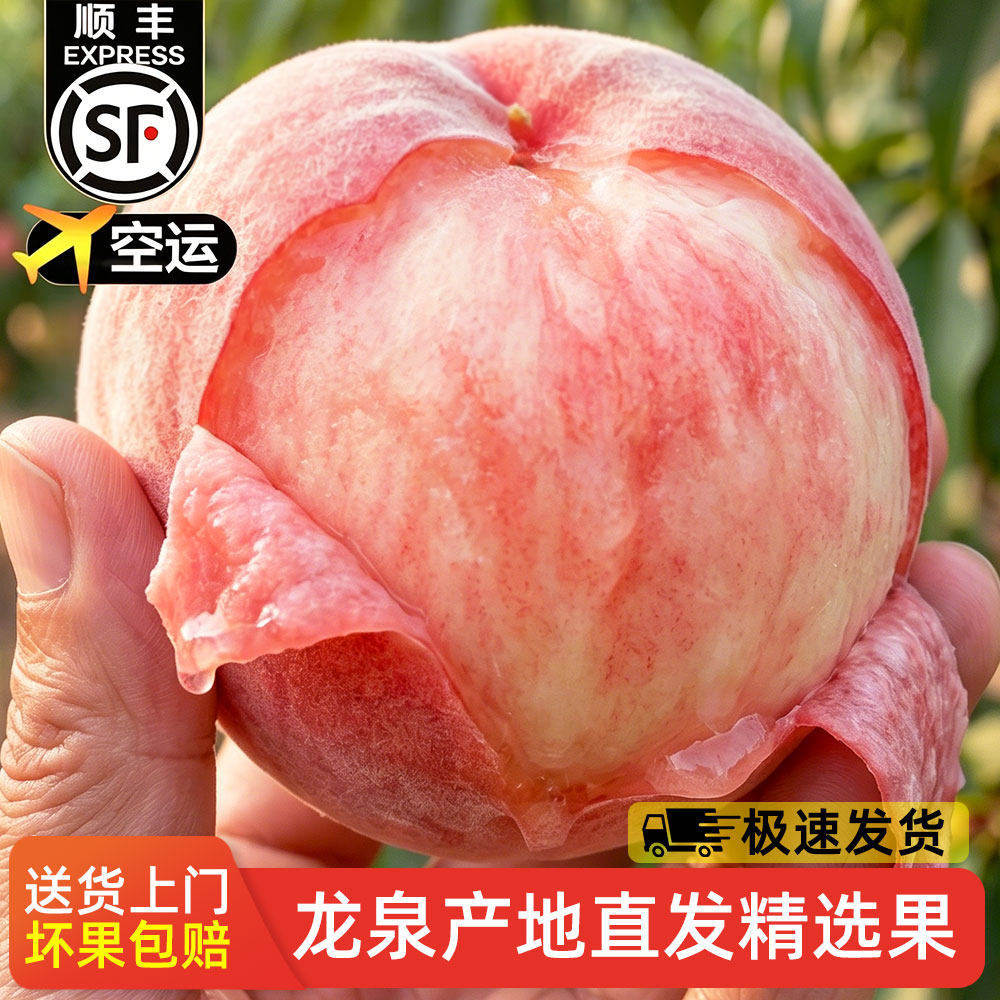 四川成都龙泉驿水蜜桃现摘礼盒超甜大毛桃现摘当季新鲜软桃子空运