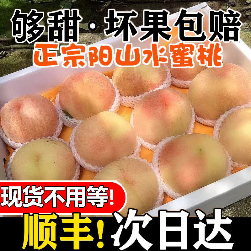 顺丰现摘正宗无锡阳山水