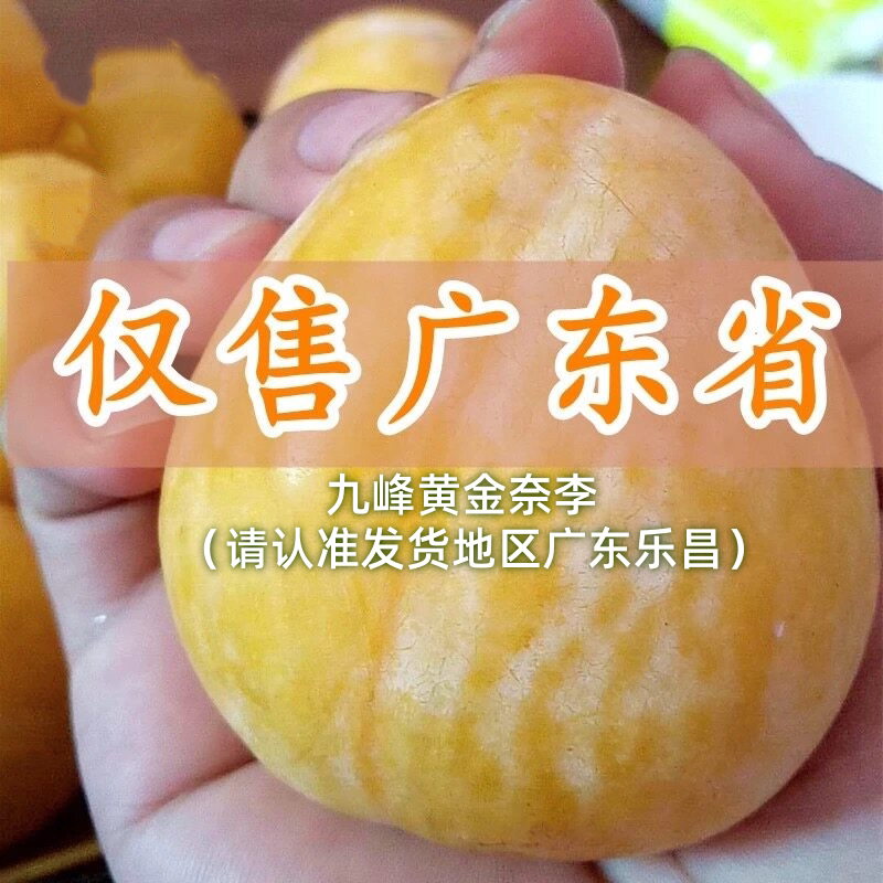 乐昌九峰山黄金奈李广东