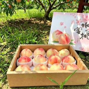 正宗无锡阳水蜜桃子新鲜