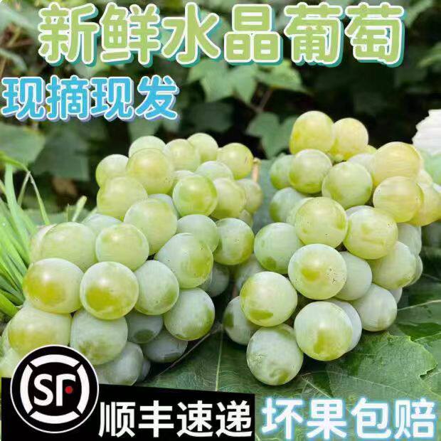 顺丰云南水晶葡萄旗舰店
