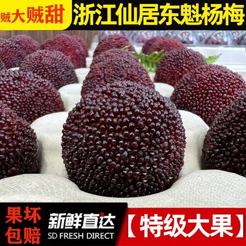 【特甜】正宗仙居东魁杨梅颗粒包装乒乓球礼盒时令当季新鲜水果