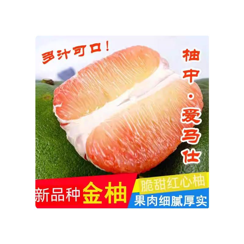 正宗新品种金柚青皮翡翠