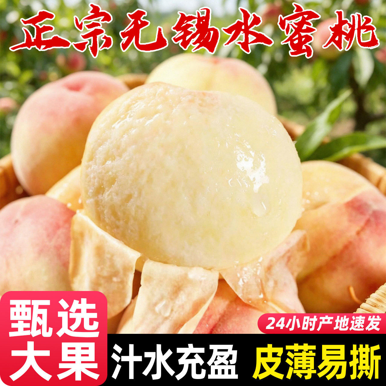 现货正宗无锡白凤水蜜桃