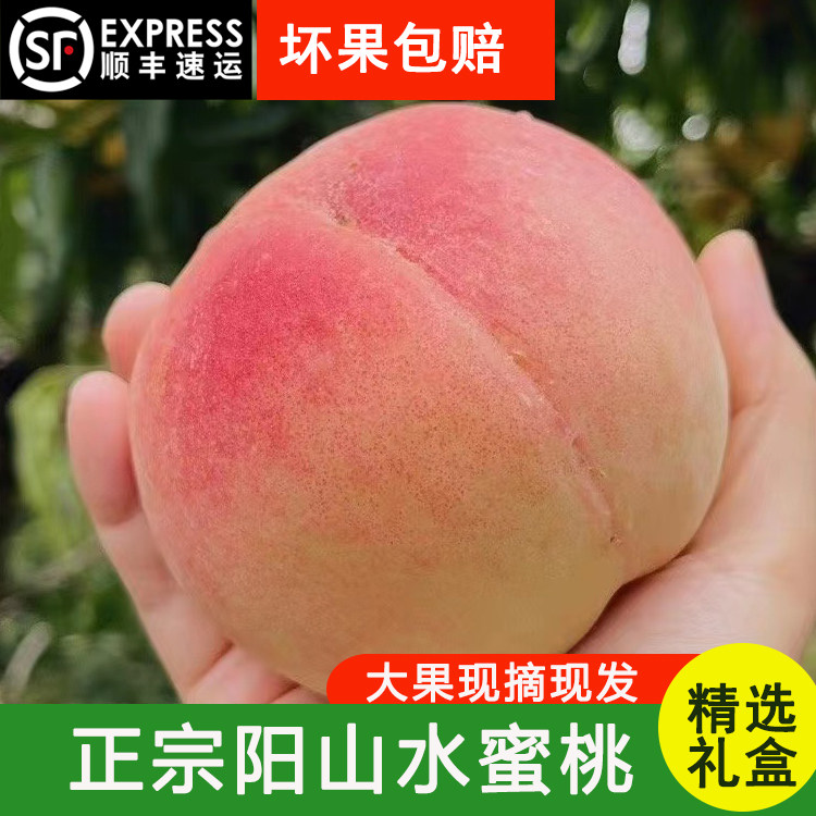 正宗无锡阳山水蜜桃新鲜