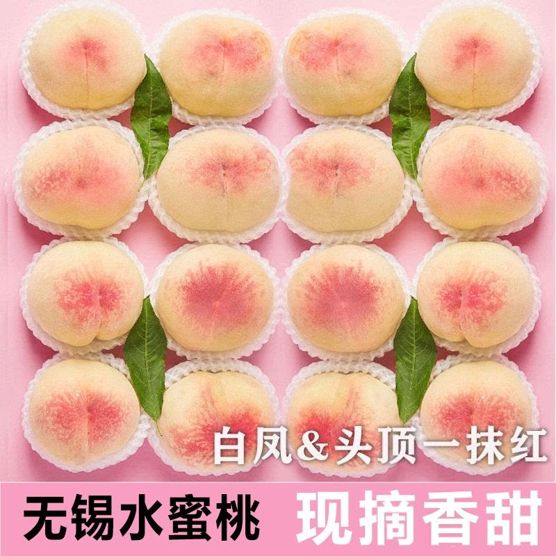 正宗无锡阳山水蜜桃6两新