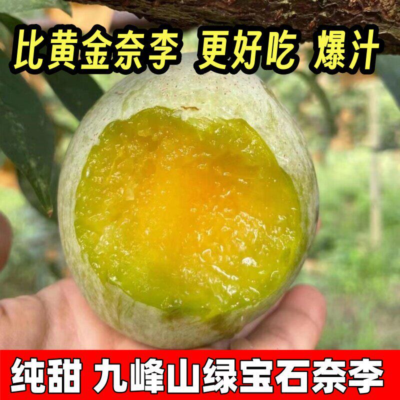 纯甜广东韶关乐昌九峰山
