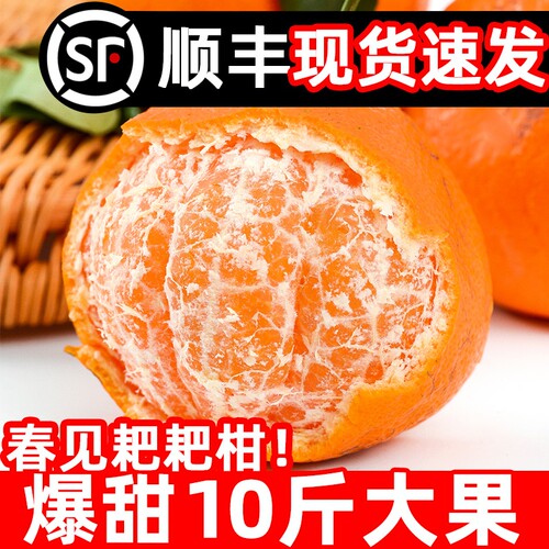 四川正宗春见耙耙柑10斤水果新鲜当季整箱丑粑粑八怪桔不橘子知火