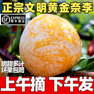 『顺丰速运』正宗文明黄