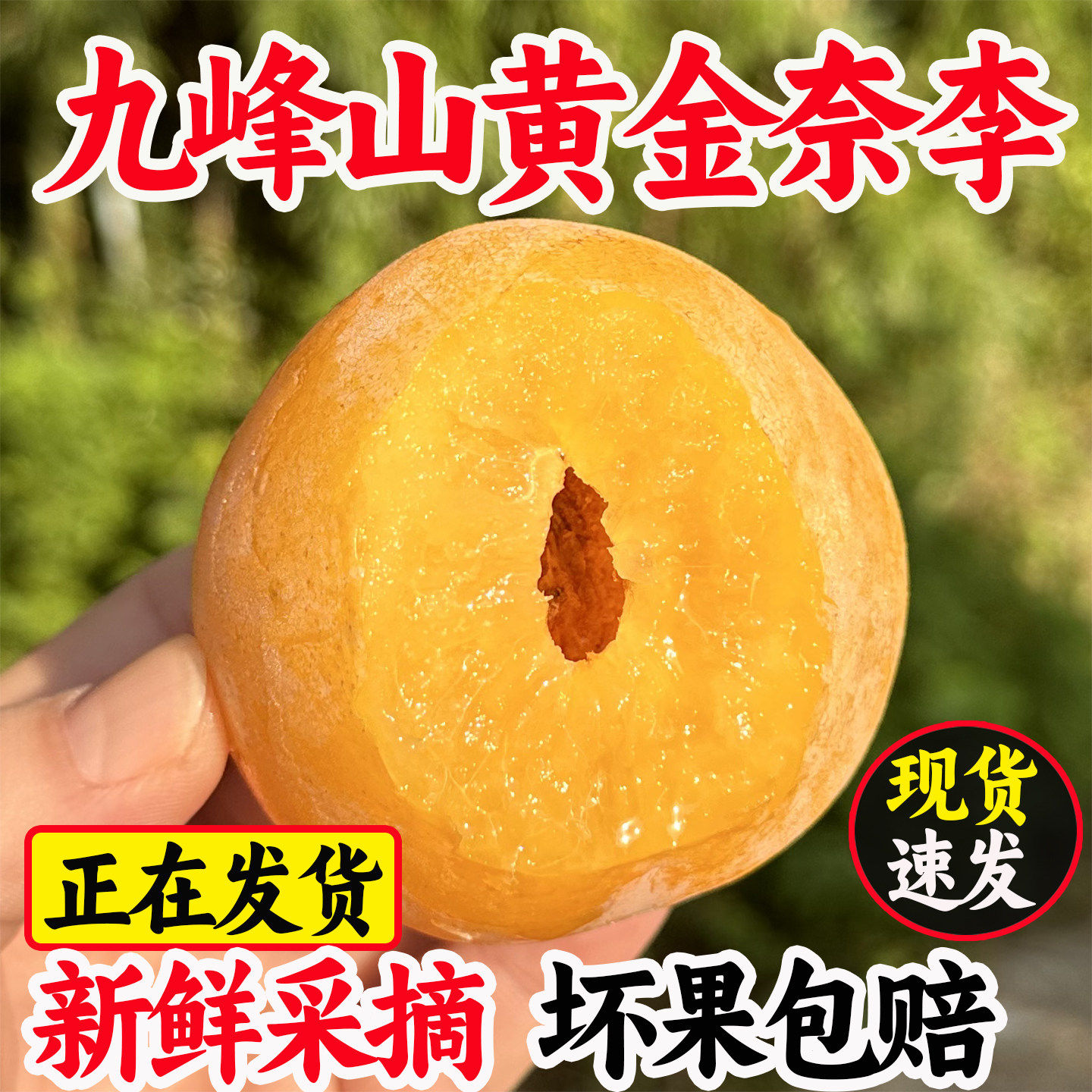 广东韶关乐昌九峰山黄金