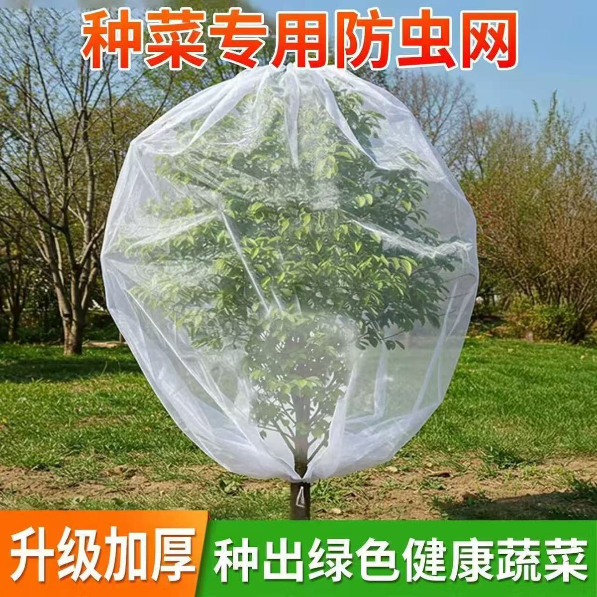 果树鸟防护网果树防鸟网罩果树莲蓬防鸟防虫网罩嘉宝枇杷樱桃蓝莓