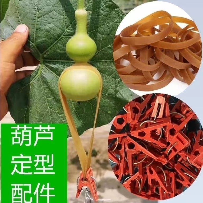 葫芦定型皮筋八宝葫芦定型坠葫芦手捻草里金蚂蚁葫芦天津嘴三庭皮