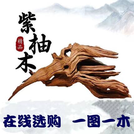 沉木雷龙沉木鱼缸造景紫柚木乌龟晒台秒沉树桩小号多枝天然拱桥镂