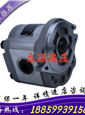 叉车齿轮a油泵齿轮泵CBWH-F306-ALB适用杭叉30HA电动叉车