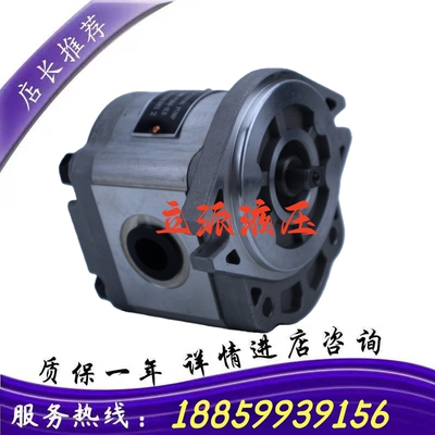 叉车齿轮a油泵齿轮泵CBWH-F306-ALB适用杭叉30HA电动叉车