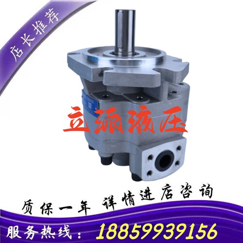 HCHC合肥齿轮泵CBW-F304/F306/F310/F314/F316/F320-ALP/CFP/CFH