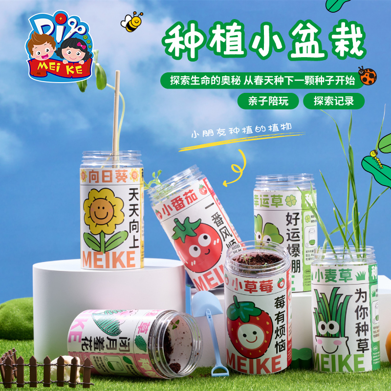 户外春天种植小盆栽手工儿童制作