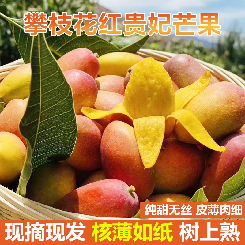 水果现摘树熟贵妃芒攀枝花红金龙