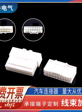 DJ7201C-2.2-11/21 国产白色 汽车连接器插头 20P配端子 20芯