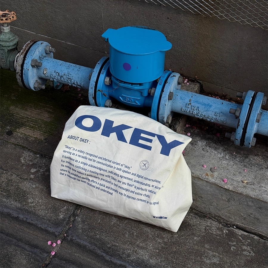 Talktokey通勤大容量米色帆布包