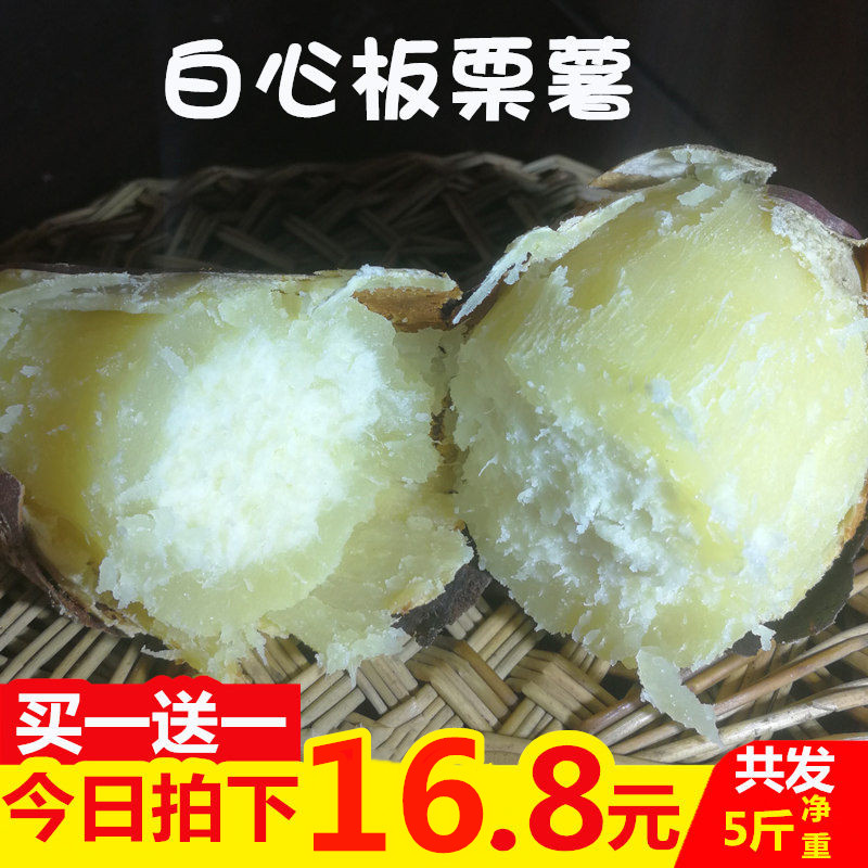 新鲜白心板栗薯5斤白瓤香甜粉面糯红薯地瓜沙地山芋农家小番薯10