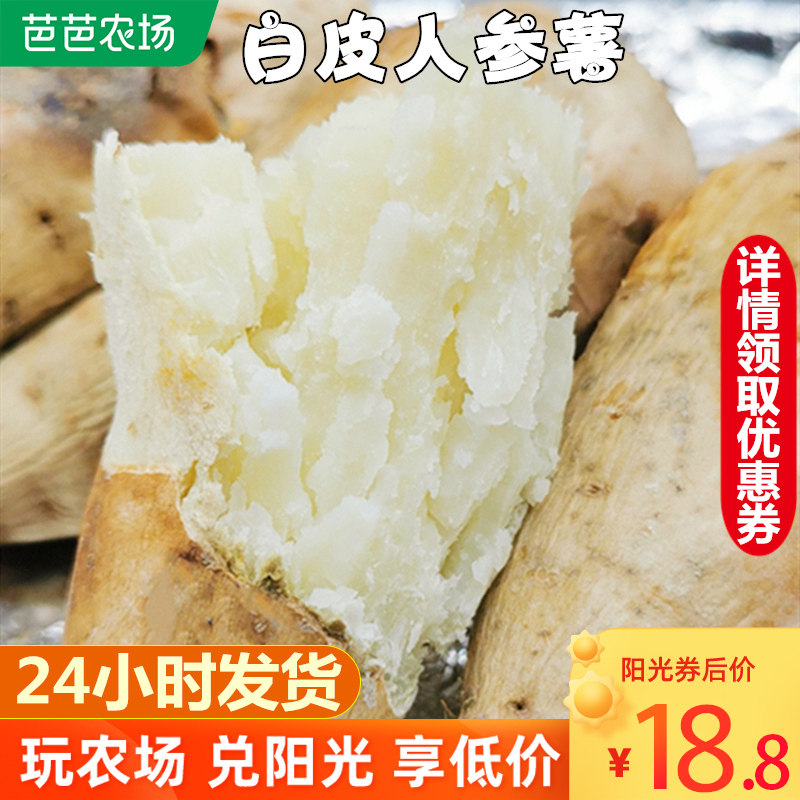 白皮白瓤人参薯牛奶板栗红薯5斤新鲜农家自种十里香地瓜小番薯10