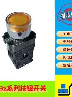 XB2带灯按钮 XB2-BW35M1C 黄色带灯复位按钮 AC220V XB2-BW35M5C