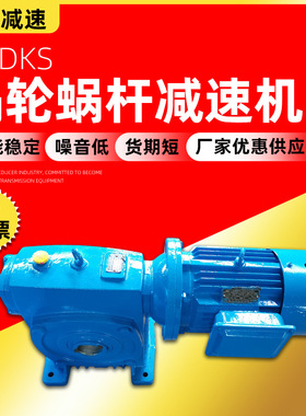 低噪音减速机 WPDKS蜗轮蜗杆减速机厂家 微型变速箱减速器