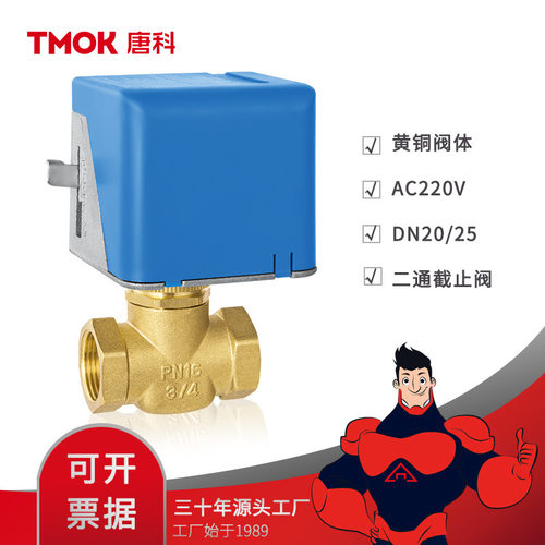 唐科阀门黄铜两通电动截止阀内螺纹直通式自来水开关电动两通阀门
