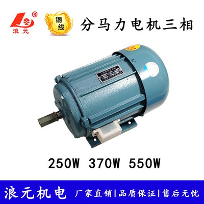 小型三相电机250W 370W 550W分马力异步电动机铜线380V 轴径16