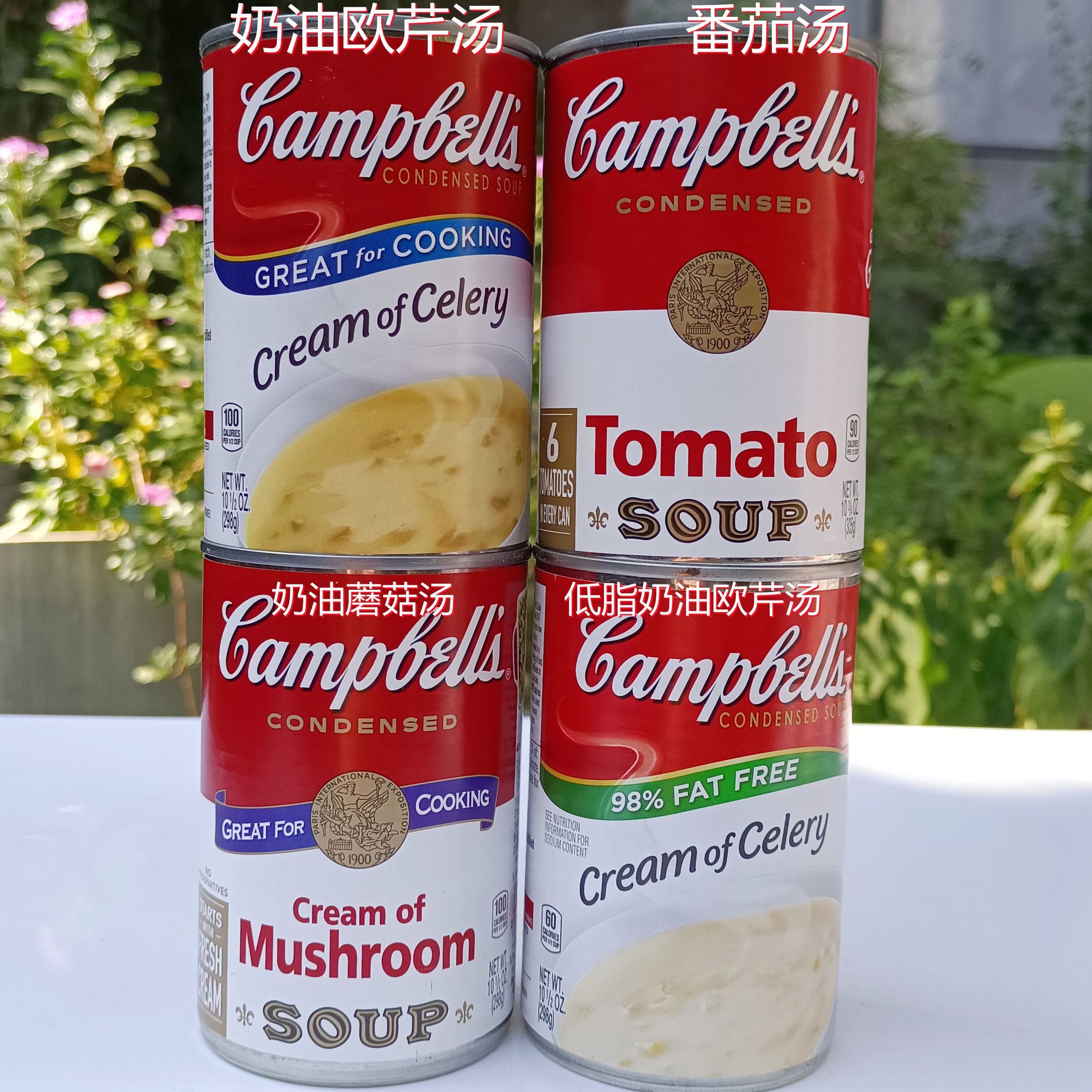 305g金宝番茄浓汤蘑菇汤奶油欧芹速食汤campbells tomato soup