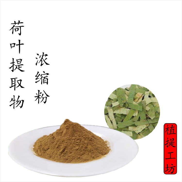 荷叶提取物 莲叶荷叶碱浓缩粉 另售钩藤何首乌三七 满79包邮 新货