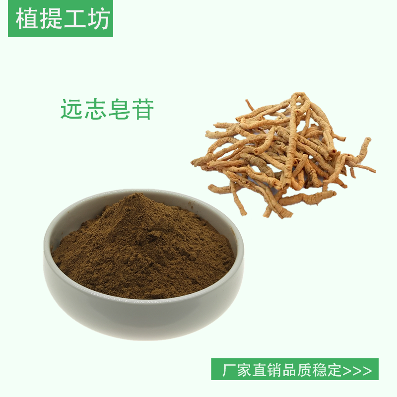 远志皂苷8% 远志皂甙 另售莲子心石菖蒲远志提取物 满79包邮 新货