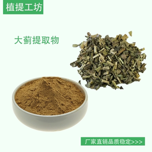 大蓟提取物大刺儿菜浓缩粉 另售小蓟牡丹皮地榆 100g袋装满79包邮