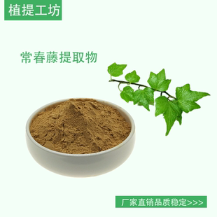 常春藤提取物 土鼓藤浓缩粉 另售羌活独活桑寄生 100g袋满79包邮