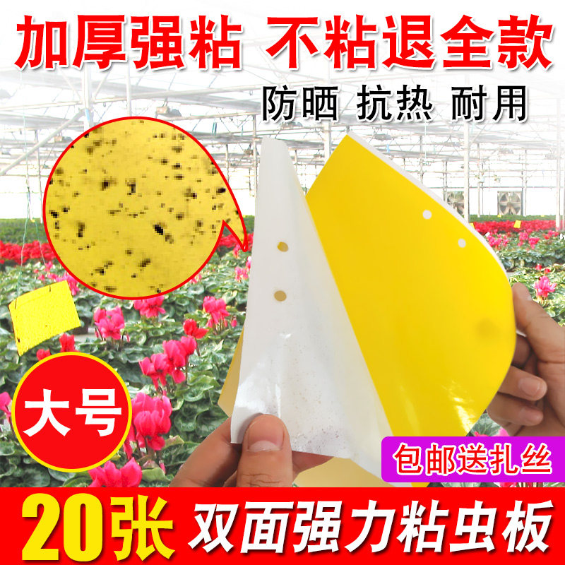 粘虫板黄板双面小飞虫灭杀神器大棚灭苍蝇贴纸果园果蝇蚊子诱捕器