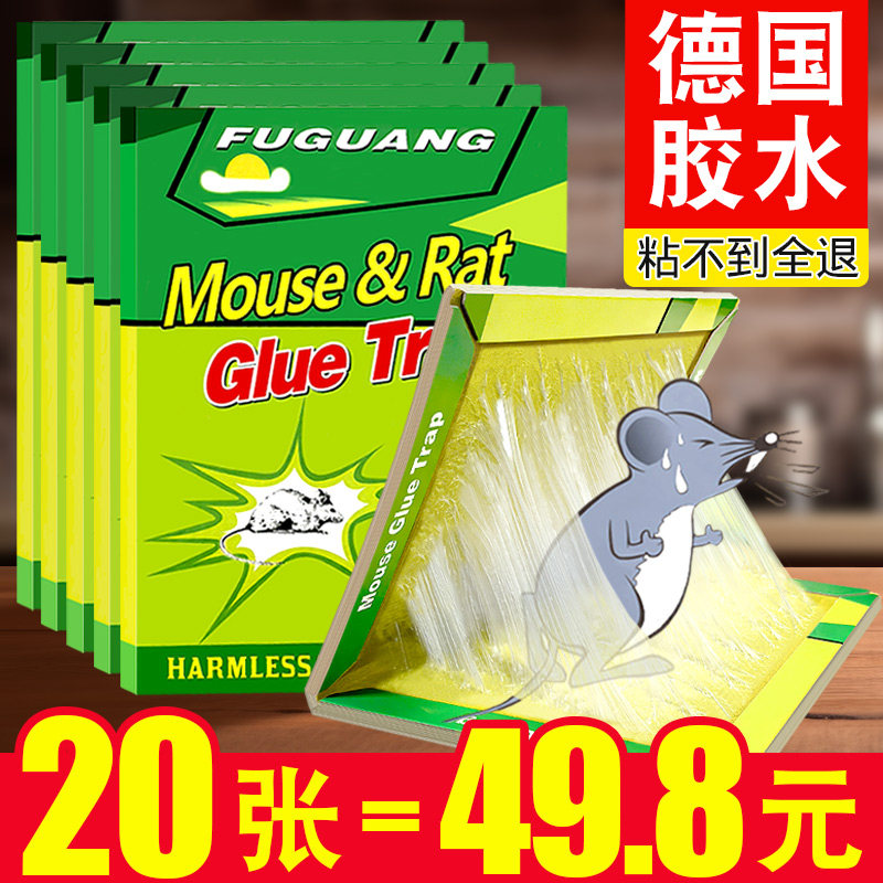 大号粘鼠板强力老鼠粘胶抓大老鼠贴家用灭耗子神器夹扑捉器一窝端图片