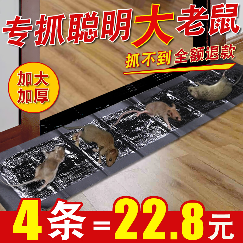 1.2米长粘鼠毯堵洞封门神器捕鼠