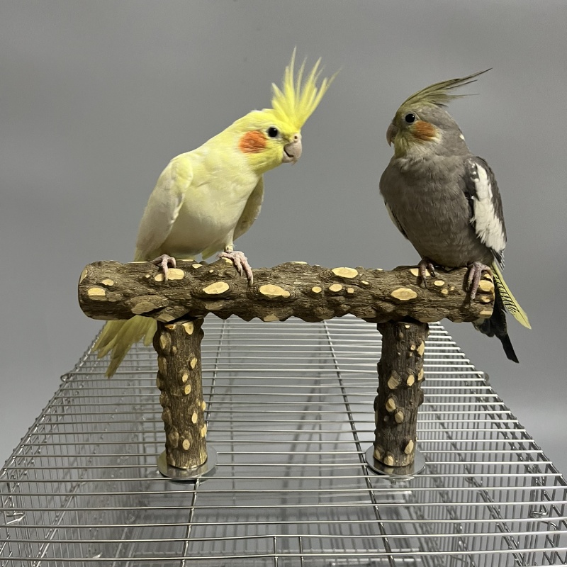 鸟笼多功能T形站杆野生花椒木树枝站杆站棒磨爪棒杆鸟笼顶站杆