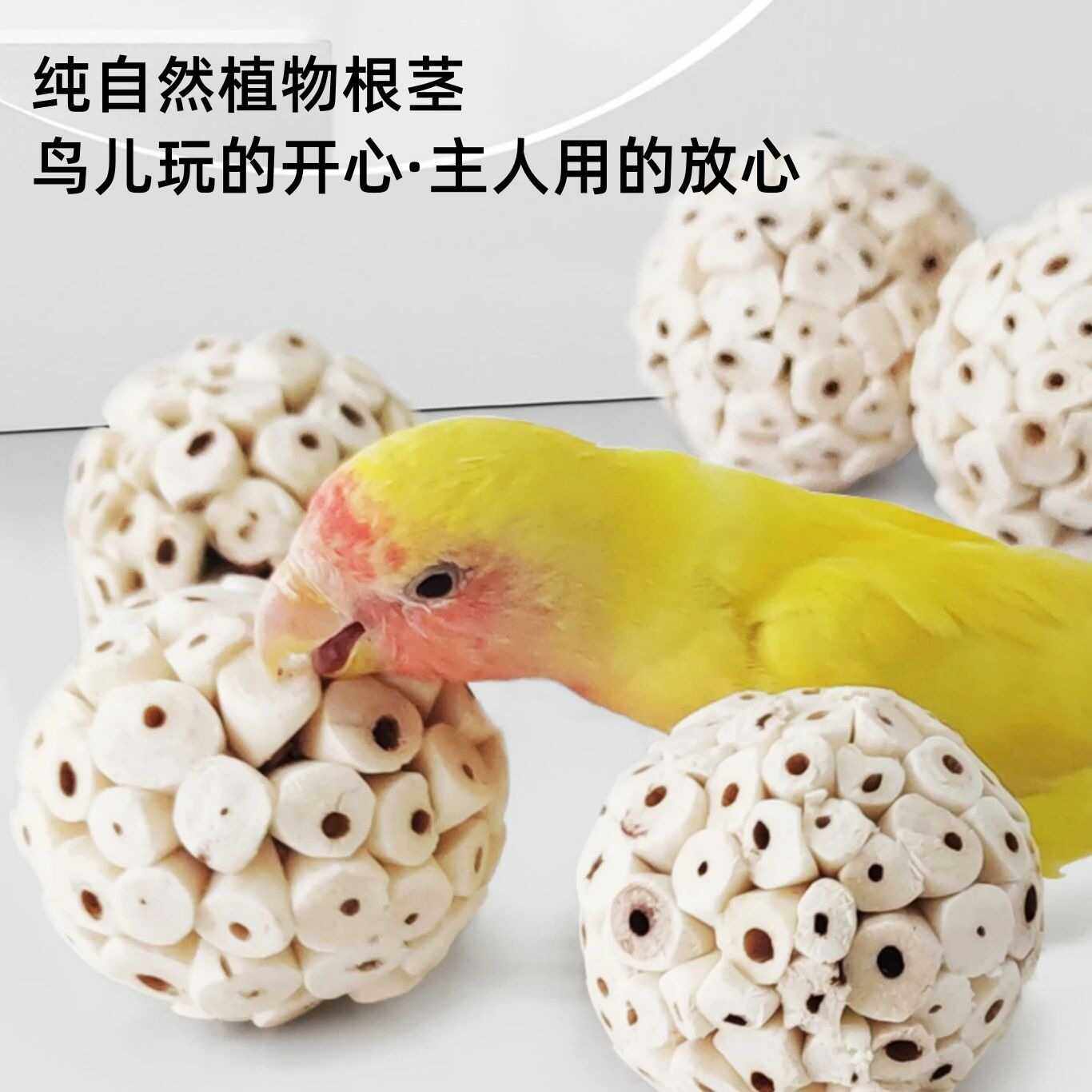 中大型鹦鹉啃咬植物茎球啃咬磨牙解闷发泄玩具鸟通草球玩具,宠物/宠物食品及用品,鸟玩具,淘宝优惠券,粉丝福利购,淘宝优惠卷