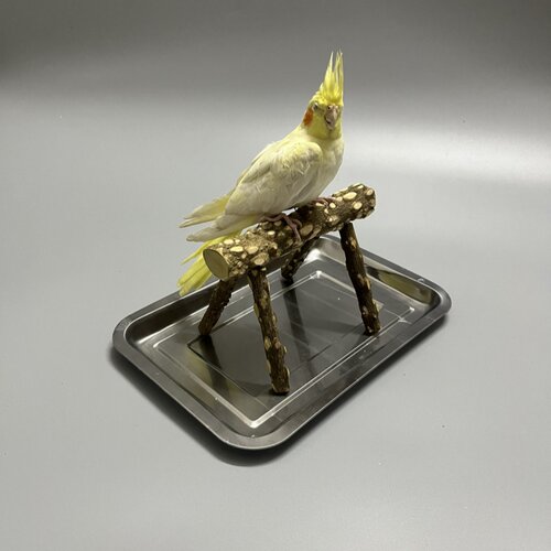 原木玄凤站架鸟站棍鹦鹉鸟用品